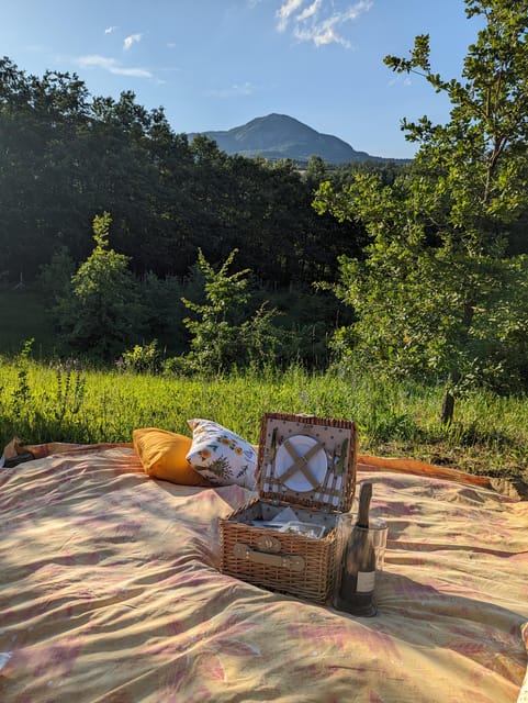 From Parma/Cinque Terre: Truffle & Parmesan Picnic (Tasting) - Learning how truffles grow