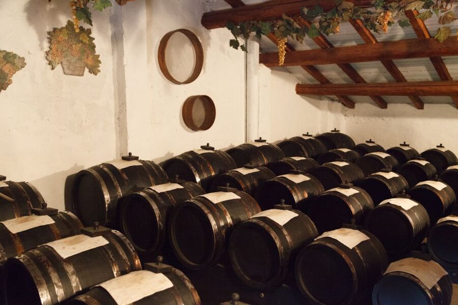 From Parma: Parmesan, Parma Ham & Balsamic Vinegar Tour - Seeing Parmigiano-Reggiano being made