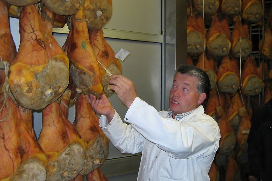 From Parma: Parmesan, Parma Ham & Balsamic Vinegar Tour - The guide and vehicle make a difference