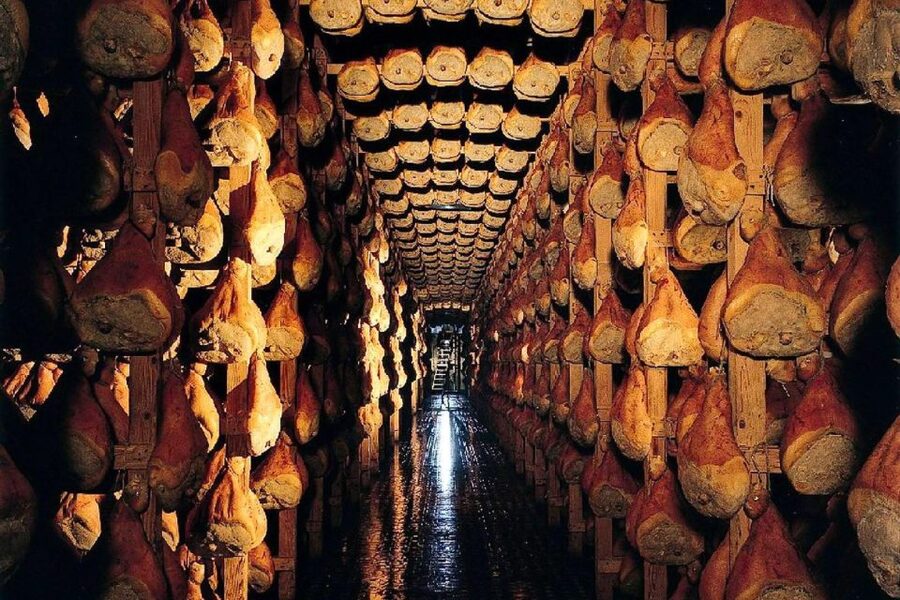 From Parma: Parmesan, Parma Ham & Balsamic Vinegar Tour - Timing, comfort, and accessibility