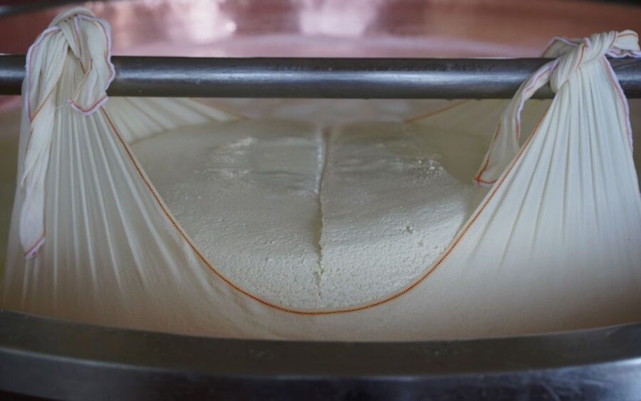 From Parma: Parmigiano and Parma Ham Guided Food Tour - Inside the Parmigiano Reggiano caseificio