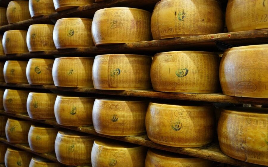 From Parma: Parmigiano and Parma Ham Guided Food Tour - The guides make a noticeable difference