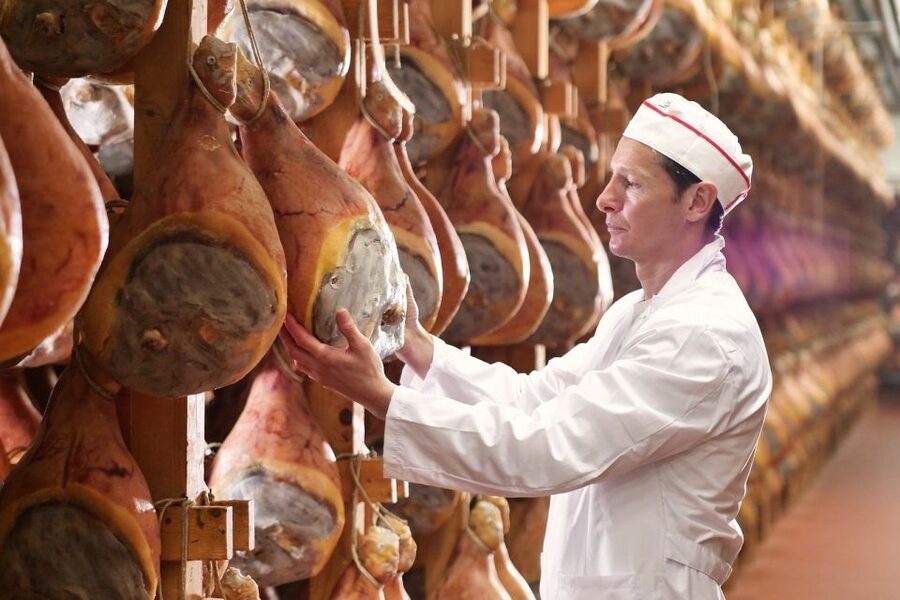 From Parma: Parmigiano and Parma Ham Guided Food Tour - Meeting at the NH hotel beside Parma station