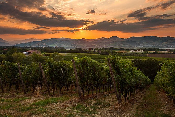 From Parma: Parmigiano,Prosciutto and winery Tour and tasting - Timing, cancellation, and useful planning details