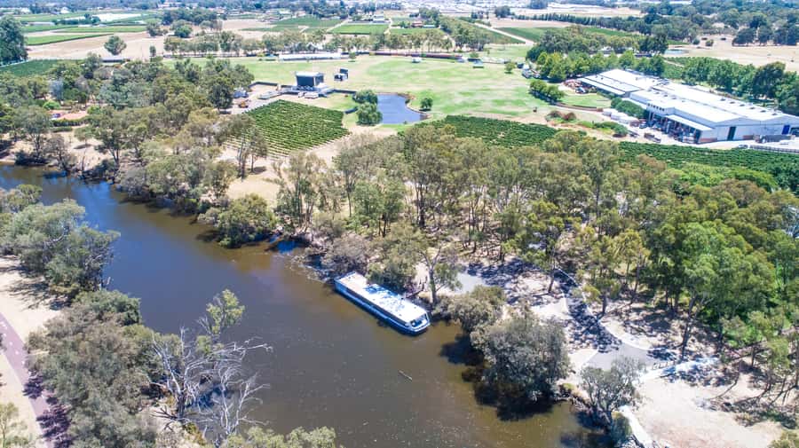 From Perth: Swan Valley Cruise, Winery, Cheese & Lunch - Practical tips for a smoother day