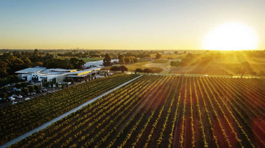 From Perth: Swan Valley Cruise, Winery, Cheese & Lunch - Watching Perth change along the Swan River