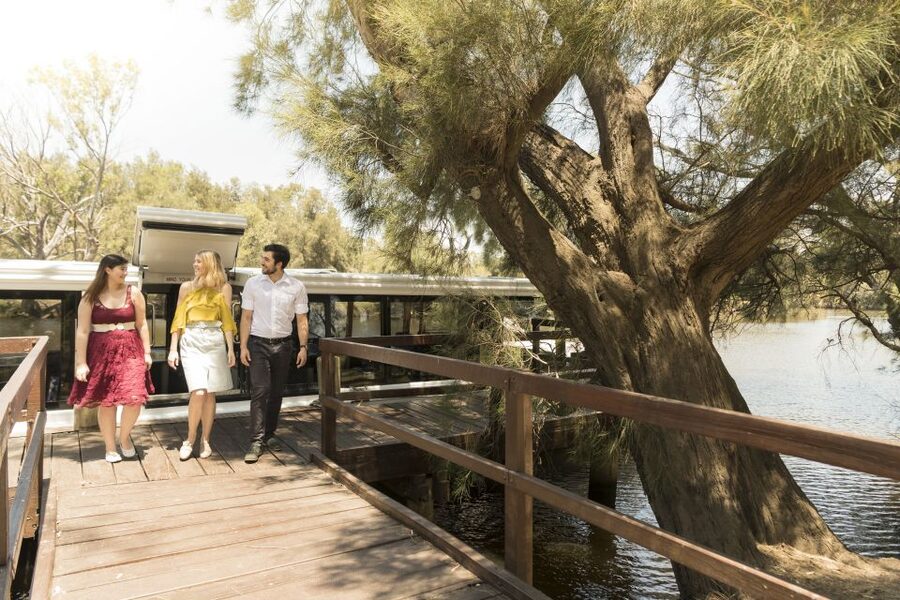 From Perth: Swan Valley Cruise, Winery, Cheese & Lunch - How good is the value at $166?
