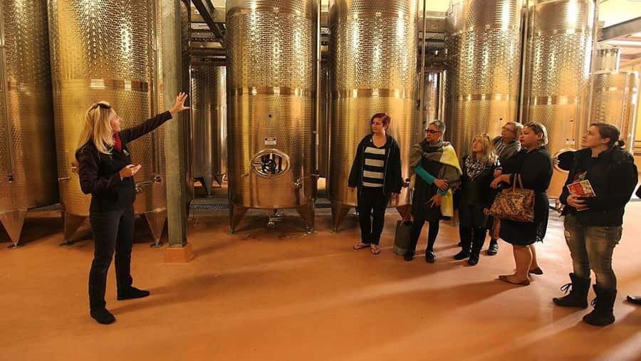From Sydney: Award-Winning Hunter Valley Wine & Cheese Tour - Why this Hunter Valley day works from Sydney