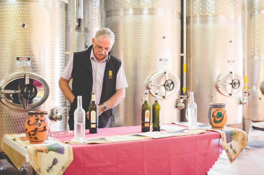 From Sydney: Award-Winning Hunter Valley Wine & Cheese Tour - Four central pickups, one early start