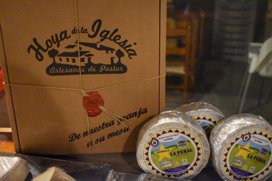 From Valencia: Guided Cheese Factory Tour with Wine Tasting - Who should book this experience?