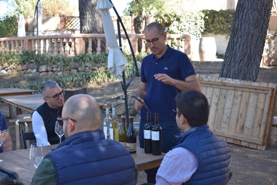 From Valencia: Guided Cheese Factory Tour with Wine Tasting - Making your own cheese