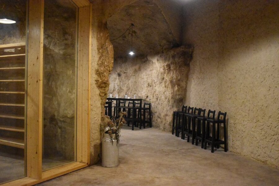 From Valencia: Guided Cheese Factory Tour with Wine Tasting - Eight cheeses and unlimited drinks