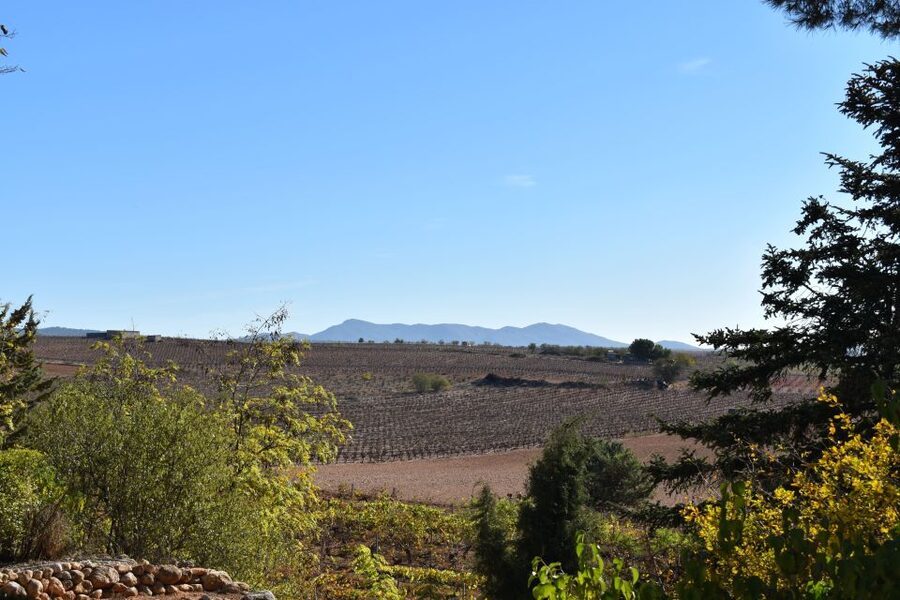 From Valencia: Guided Cheese Factory Tour with Wine Tasting - Is $117 a fair price?