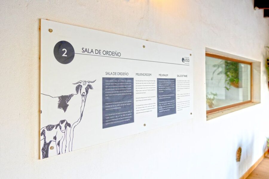 Fuerteventura: Artisan Goat's Cheese Making at Local Farm - Key points to know before you book