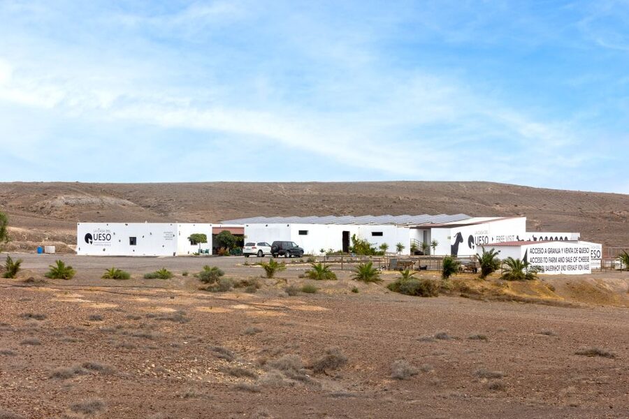 Fuerteventura: Artisan Goat's Cheese Making at Local Farm - Making your own fresh cheese step by step
