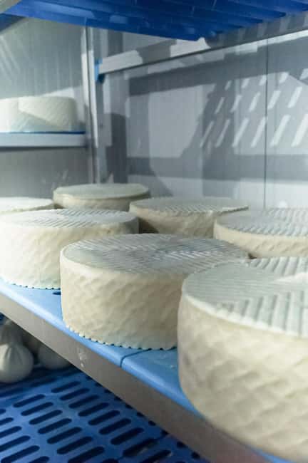 Fuerteventura Goat Cheese Workshop with Transfer from the South - Is $92 a fair price?
