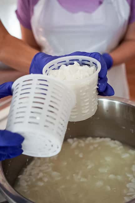 Fuerteventura Goat Cheese Workshop with Transfer from the South - Pickup from southern Fuerteventura