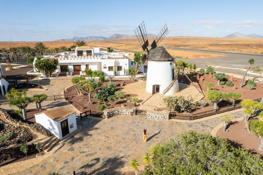 Fuerteventura: Tickets to Salt, Cheese and Windmill Museums - Majorero Cheese Museum: goats, island conditions, and a local prizewinner