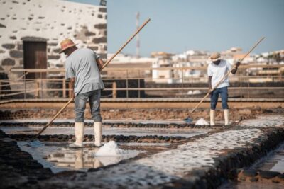 Tickets to Salt, Cheese and Windmill Museums