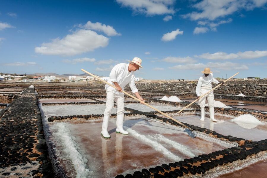 Fuerteventura: Tickets to Salt, Cheese and Windmill Museums - The Mills Interpretation Center: a short stop with a taste of gofio