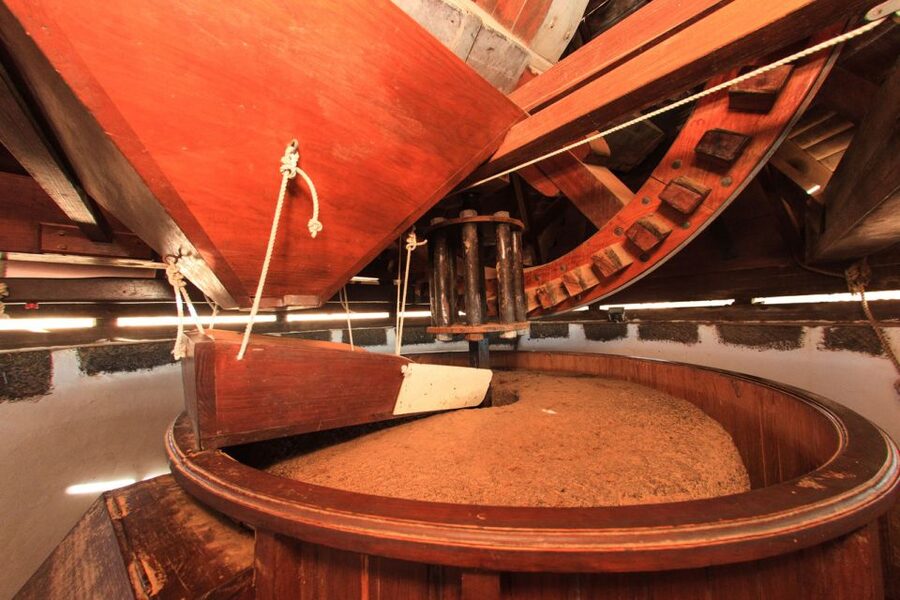 Fuerteventura: Tickets to Salt, Cheese and Windmill Museums - Timing, opening days, and the small details that matter