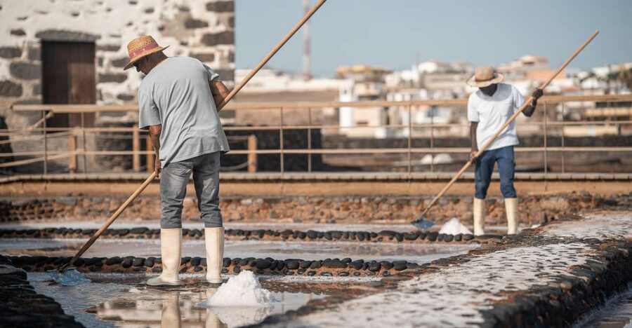 Fuerteventura: Tickets to Salt, Cheese and Windmill Museums - Is the $14 ticket good value?