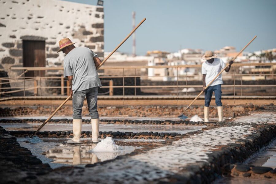 Fuerteventura: Tickets to Salt, Cheese and Windmill Museums - Salinas del Carmen: salt ponds beside the eastern coast