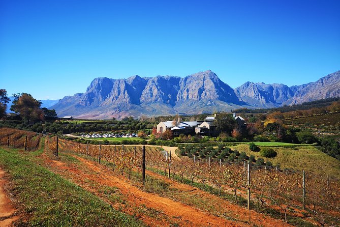 Full-Day Chocolate, Cheese, Olive and Wine Tour from Stellenbosch - Wine tastings across three regions