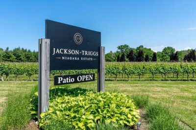 Full-Day Group Wine Tour (with cheese and charcuterie) in Niagara-on-the-Lake
