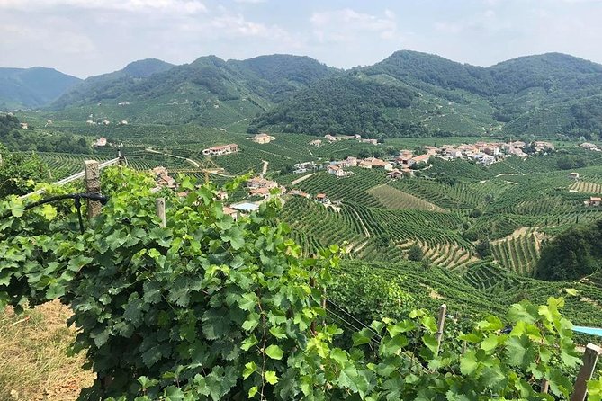 Full Day Prosecco and Cheese Tasting from Venice - Key points at a glance