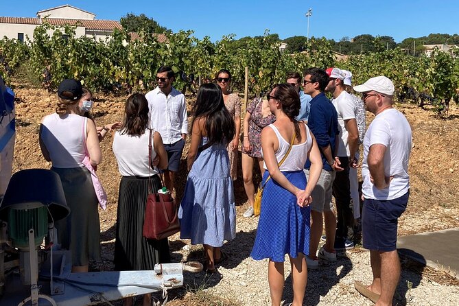 Full-Day Wine and Cheese Tour around Aix-en-Provence from Marseille - Aix-en-Provence: lunch with room to wander