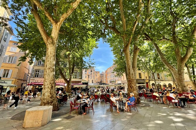 Full-Day Wine and Cheese Tour around Aix-en-Provence from Marseille - The afternoon winery and what to expect