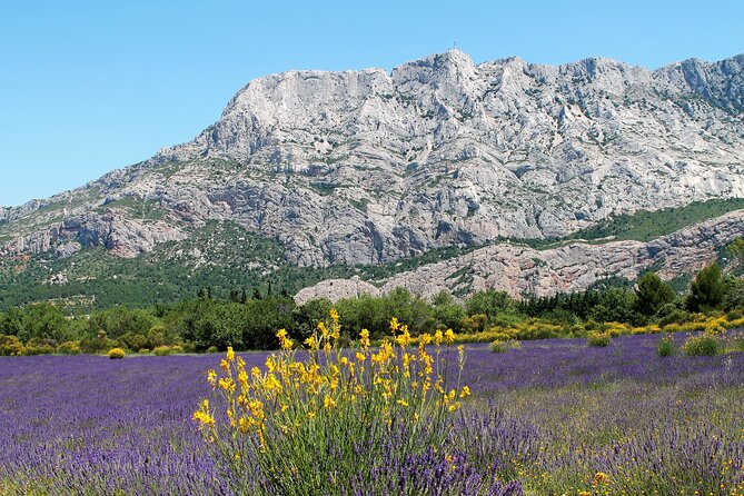 Full-Day Wine and Cheese Tour around Aix-en-Provence from Marseille - What the $180.21 price includes