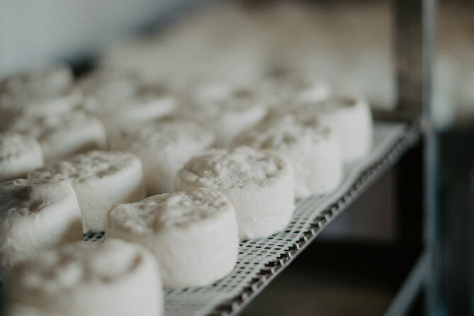 Full-Day Wine and Cheese Tour around Aix-en-Provence from Marseille - Who should book this day