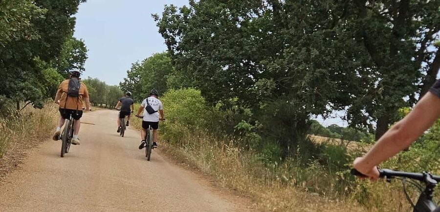 Gioia del Colle: E-Bike Ride & Hands-On Mozzarella Lab - Who will enjoy this Gioia del Colle experience