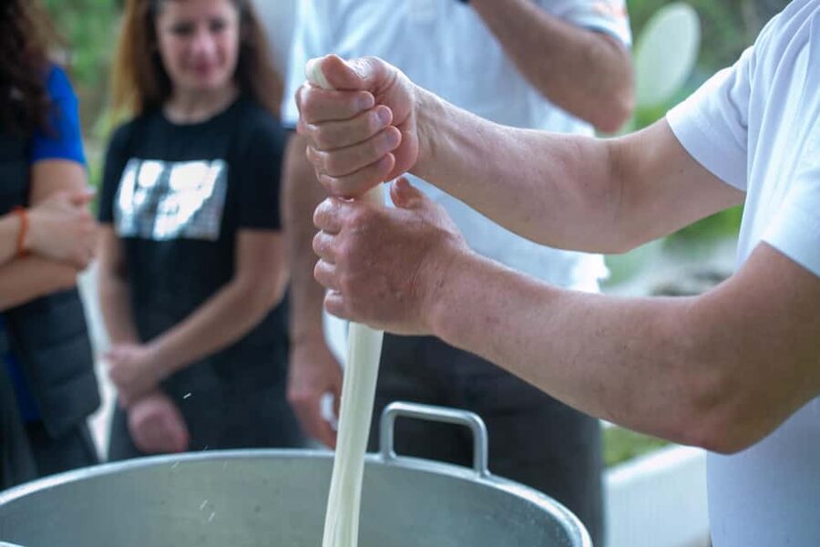 Gioia del Colle: E-Bike Ride & Hands-On Mozzarella Lab - Rolling fields, grazing animals, and quiet rural roads