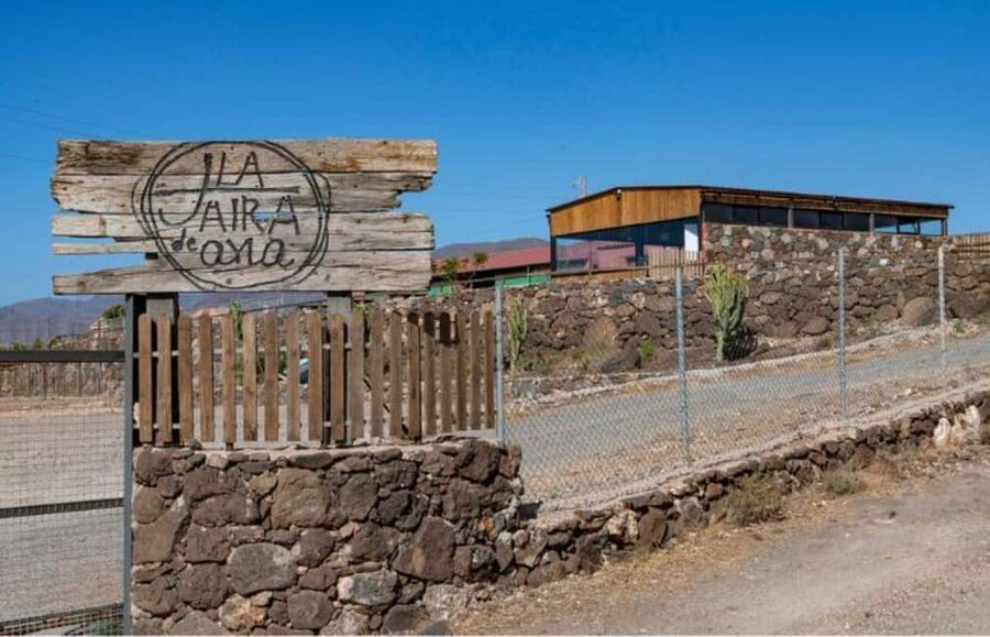 Gran Canaria: Cheese Workshop in Agüimes - Why Agüimes is a good setting for a cheese workshop