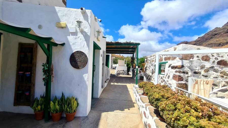 Gran Canaria: Tasting wine & local cheese in Mogan - Key points to know before booking