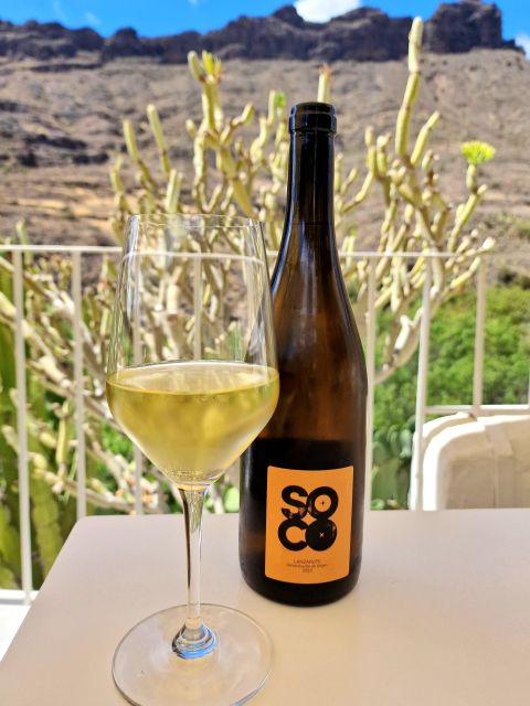 Gran Canaria: Tasting wine & local cheese in Mogan - Is $61 a fair price?