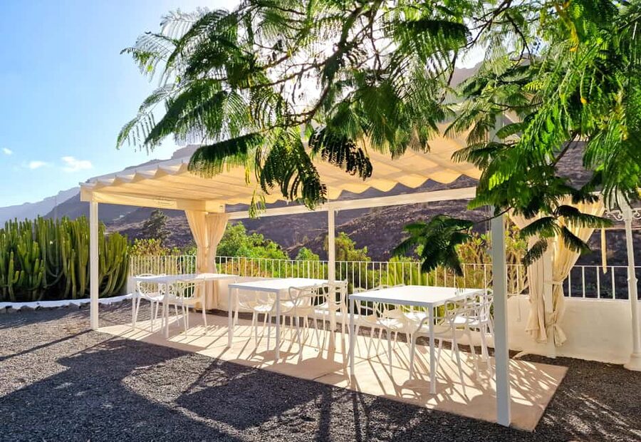 Gran Canaria: Tasting wine & local cheese in Mogan - Languages, access, and practical comfort