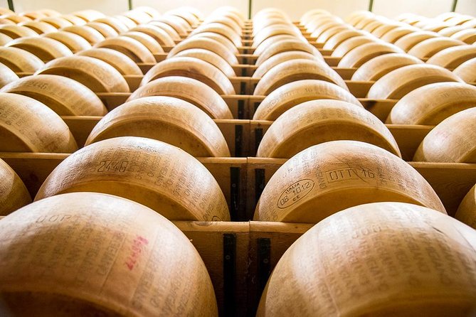 Guided group tour TastyBus: Parmesan Cheese and Parma Ham - Parmigiano Reggiano at the production factory