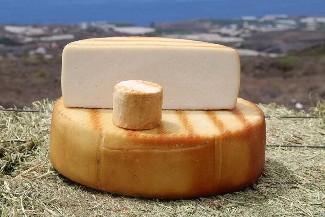 Guided Tour Montesdeoca Cheese Factory - Cheese and Wine Tasting - Arriving at Quesería Montesdeoca Near Tijoco Bajo