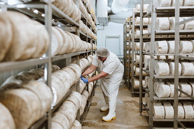 Guided Tour with Cheese & Wine Pairing - The tasting platter: six cheeses, three wines