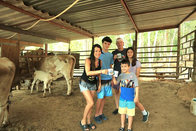 Hands-on Mexican Farm Experience: from Cow to Cheese - Key points to know before booking
