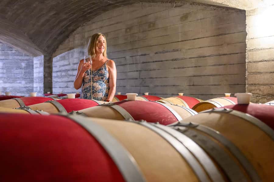 Hawkes Bay: Half-Day Wine Tour with Tastings and Cheeseboard - How the five hours feel