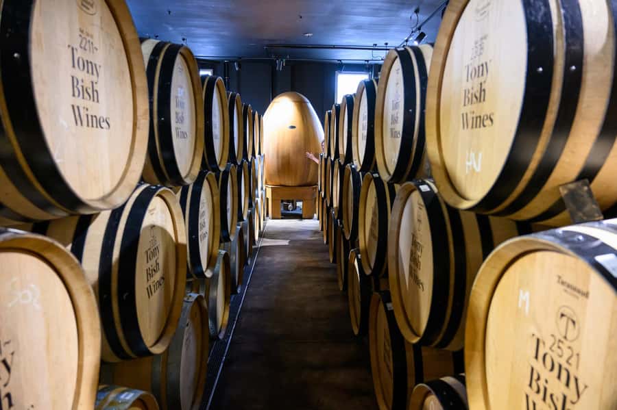 Hawkes Bay: Half-Day Wine Tour with Tastings and Cheeseboard - The 15-minute viewpoint over Napier and Hastings