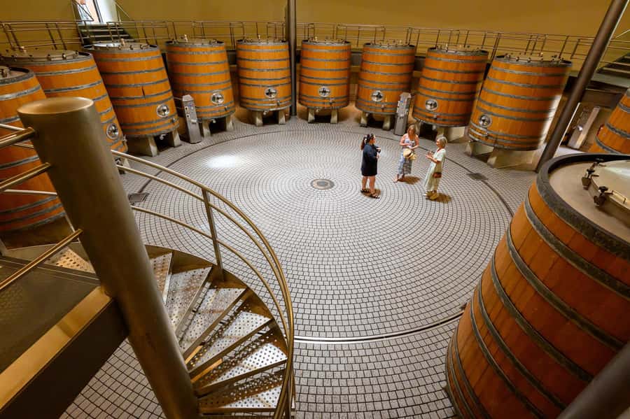Hawkes Bay: Half-Day Wine Tour with Tastings and Cheeseboard - Havelock North and the later tasting stop