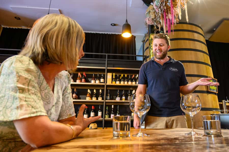 Hawkes Bay: Half-Day Wine Tour with Tastings and Cheeseboard - Pickup from four Napier hotels