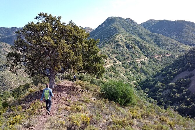 Hike the Cork Oak trail and try some Delicious Cheese - Key points to know before you book