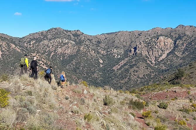 Hike the Cork Oak trail and try some Delicious Cheese - Starting with goat and sheep cheese